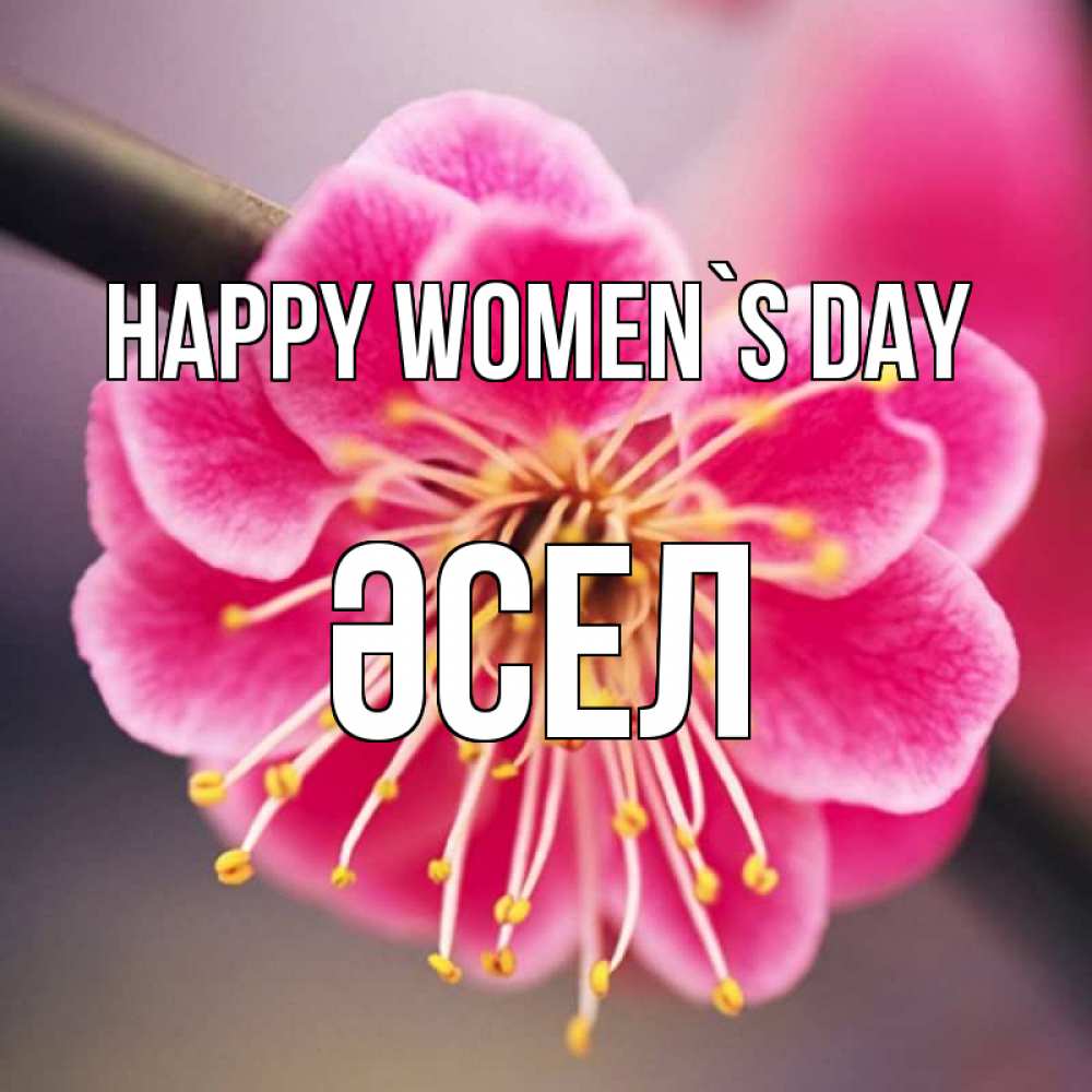Greetings card с именем, ӘСЕЛ happy women`s day цветы Greetings with text for free download 